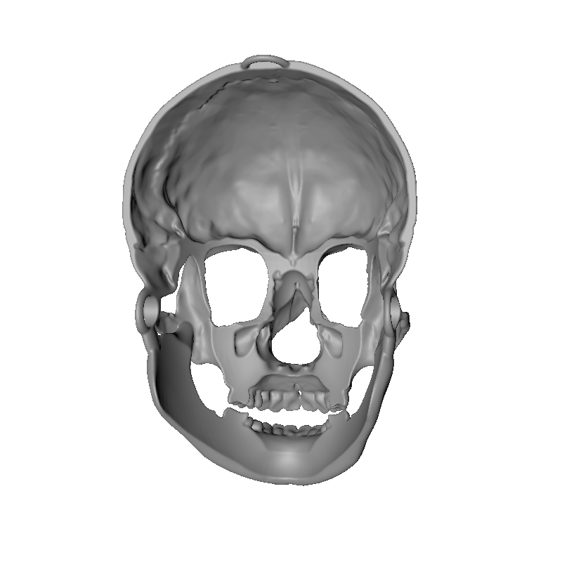 Skullita Skull Mask DIGITAL PRINT FILE