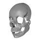 Skullita Skull Mask DIGITAL PRINT FILE