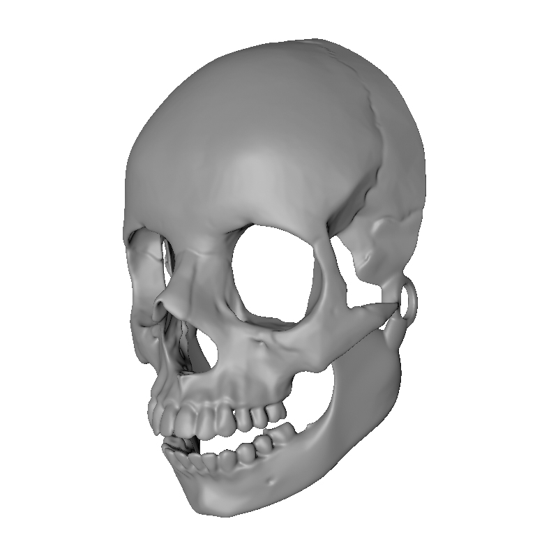 Skullita Skull Mask DIGITAL PRINT FILE