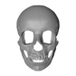 Skullita Skull Mask DIGITAL PRINT FILE