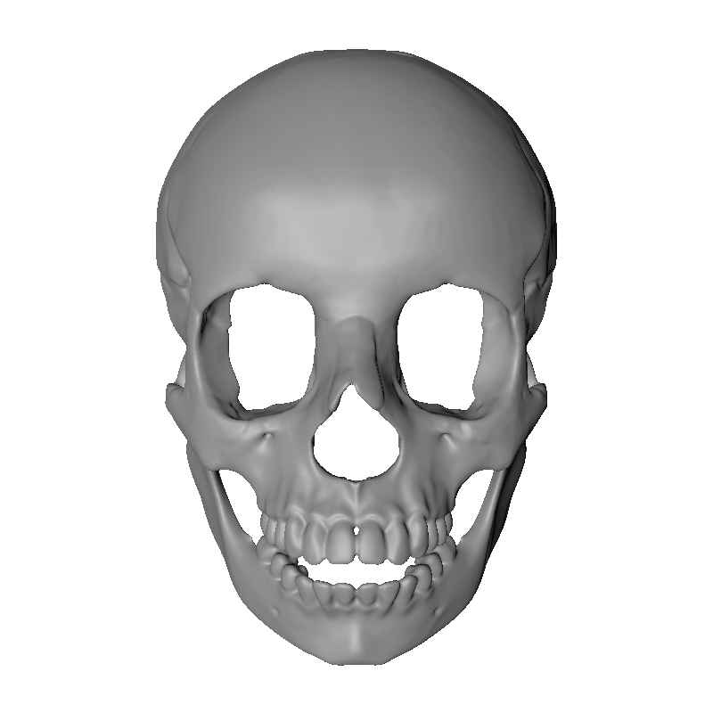 Skullita Skull Mask DIGITAL PRINT FILE