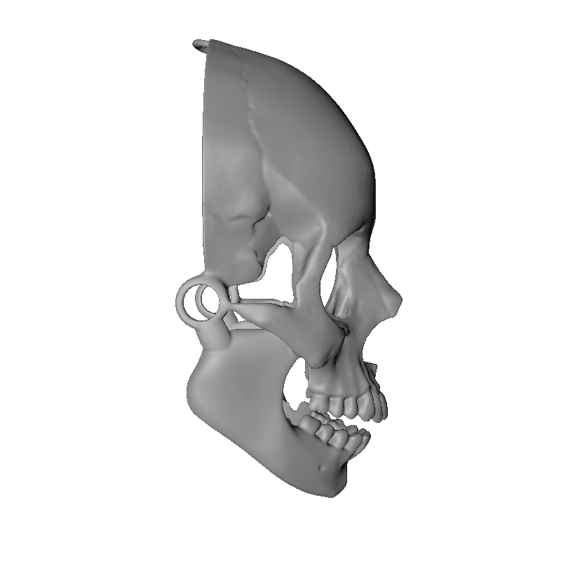 Skullita Skull Mask DIGITAL PRINT FILE