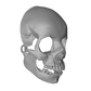 Skullita Skull Mask DIGITAL PRINT FILE