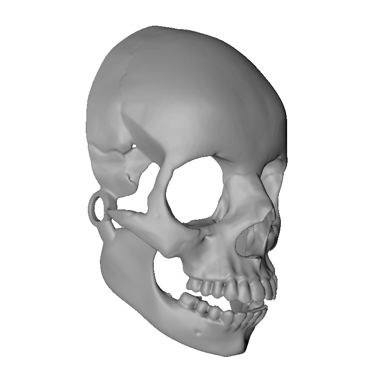 Skullita Skull Mask DIGITAL PRINT FILE